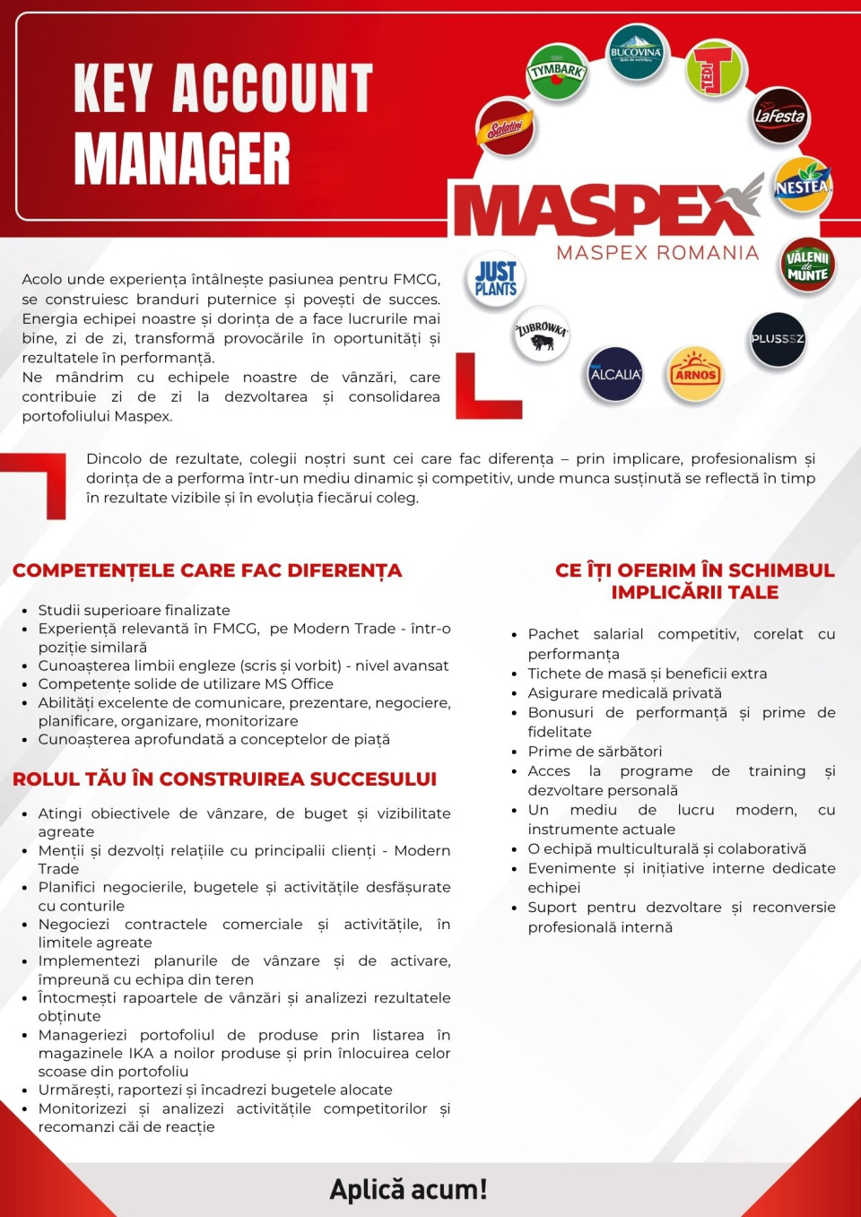 KEY ACCOUNT MANAGER